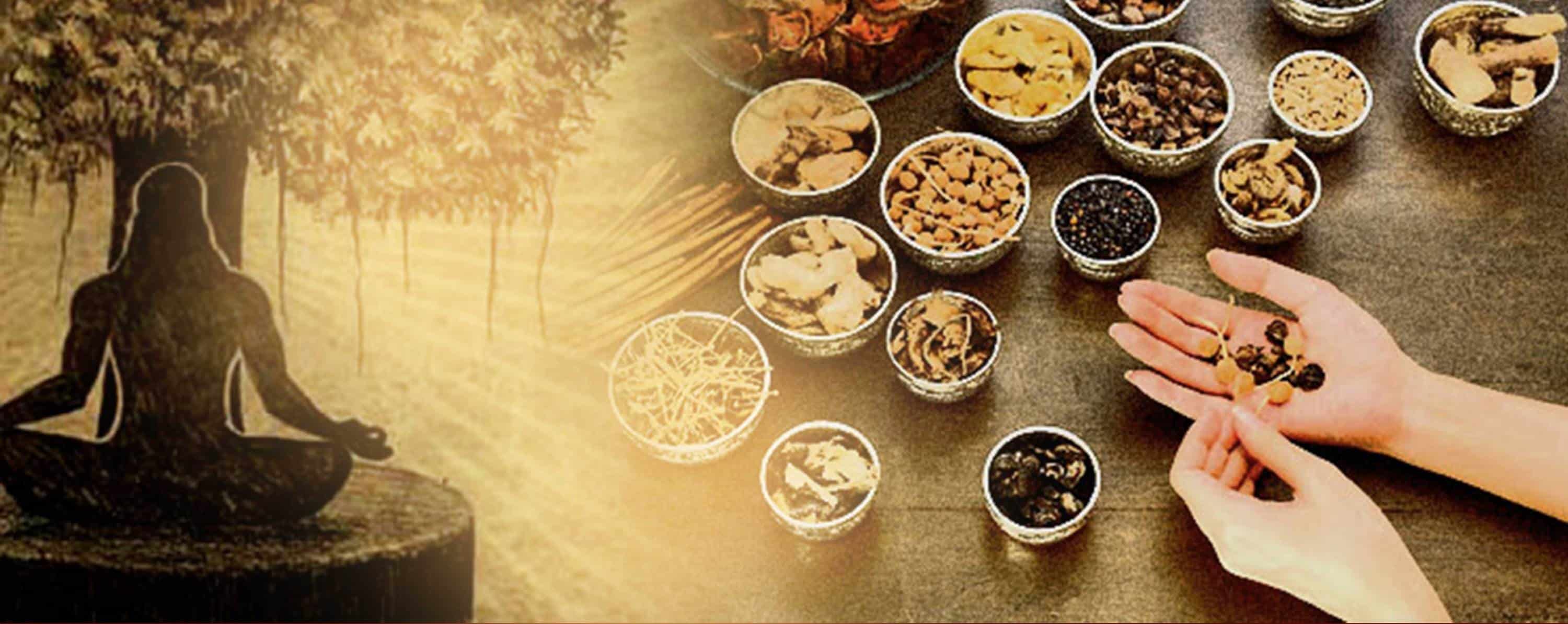 Ayurveda-Produkte für eine gesunde Verdauung und Darmbalance